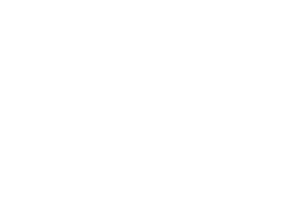 BobSchneider.LOGO.600×450.white