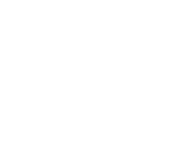FirstPremierBank.LOGO.600×450.white