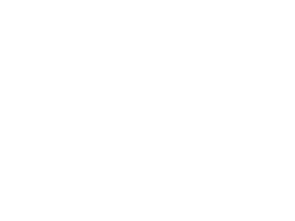 ManchesterOrchestra.LOGO.600×450.white